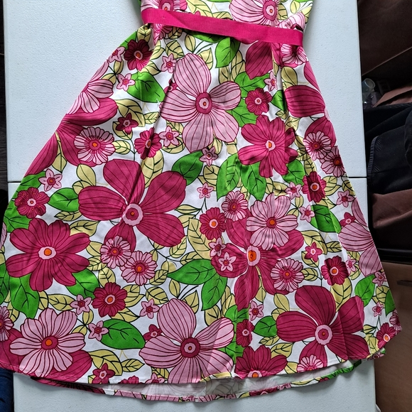 D.B.Y Vintage Pink Floral Dress - Picture 3 of 7